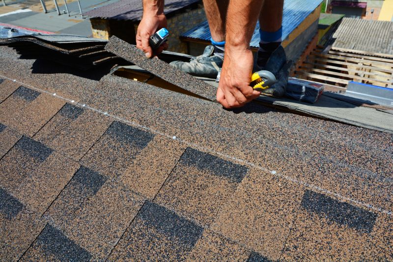 Shingle Repair